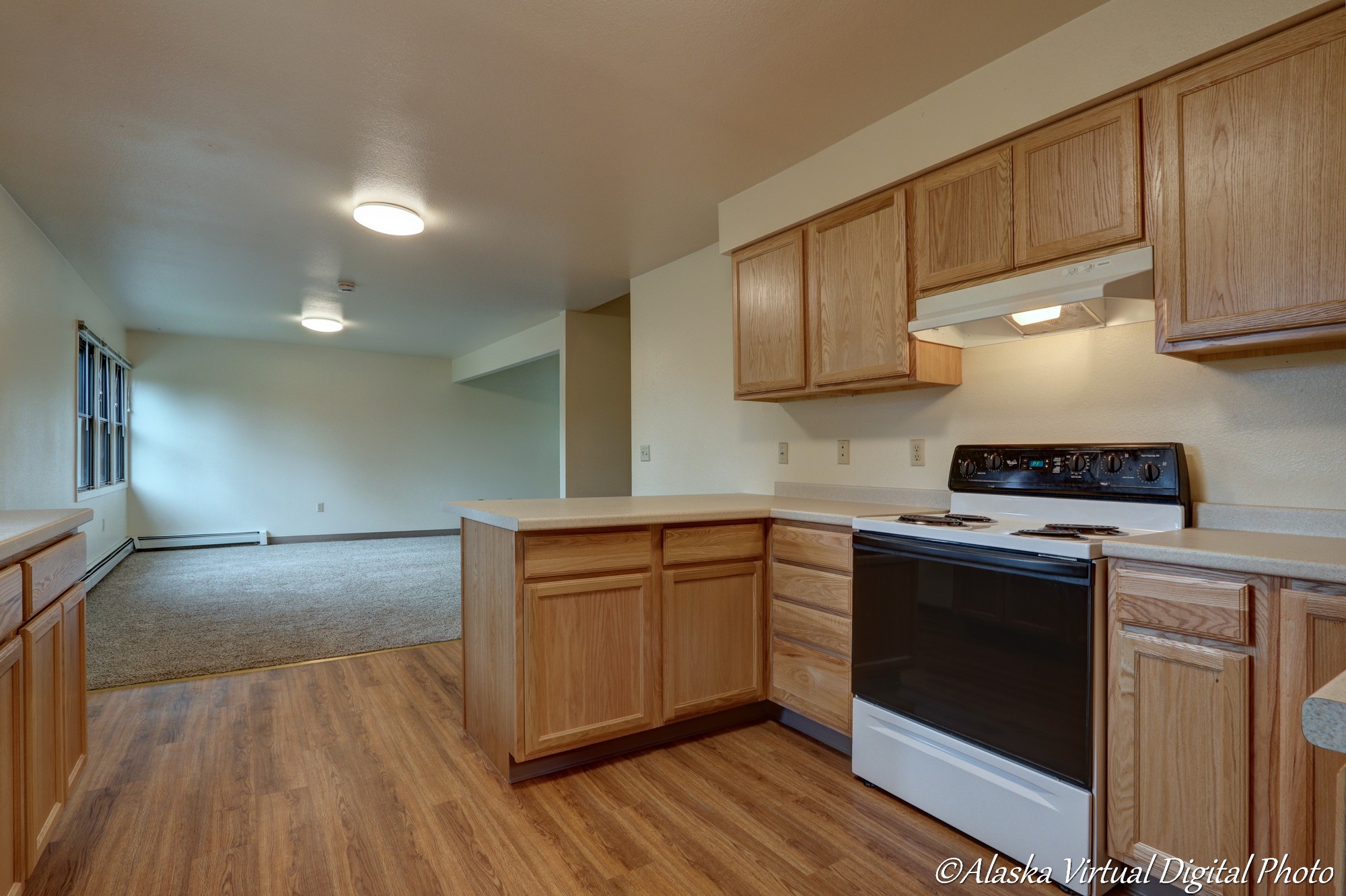 image of kitchen looking out into living room