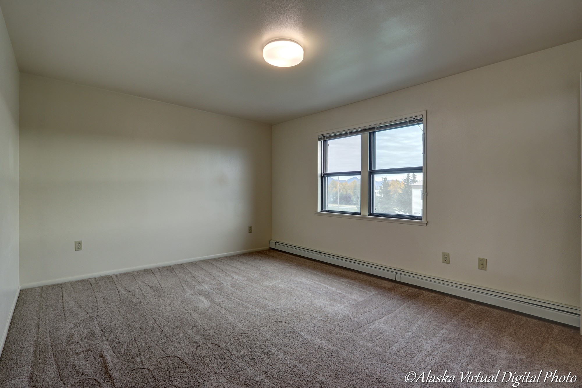 Bedroom with Window