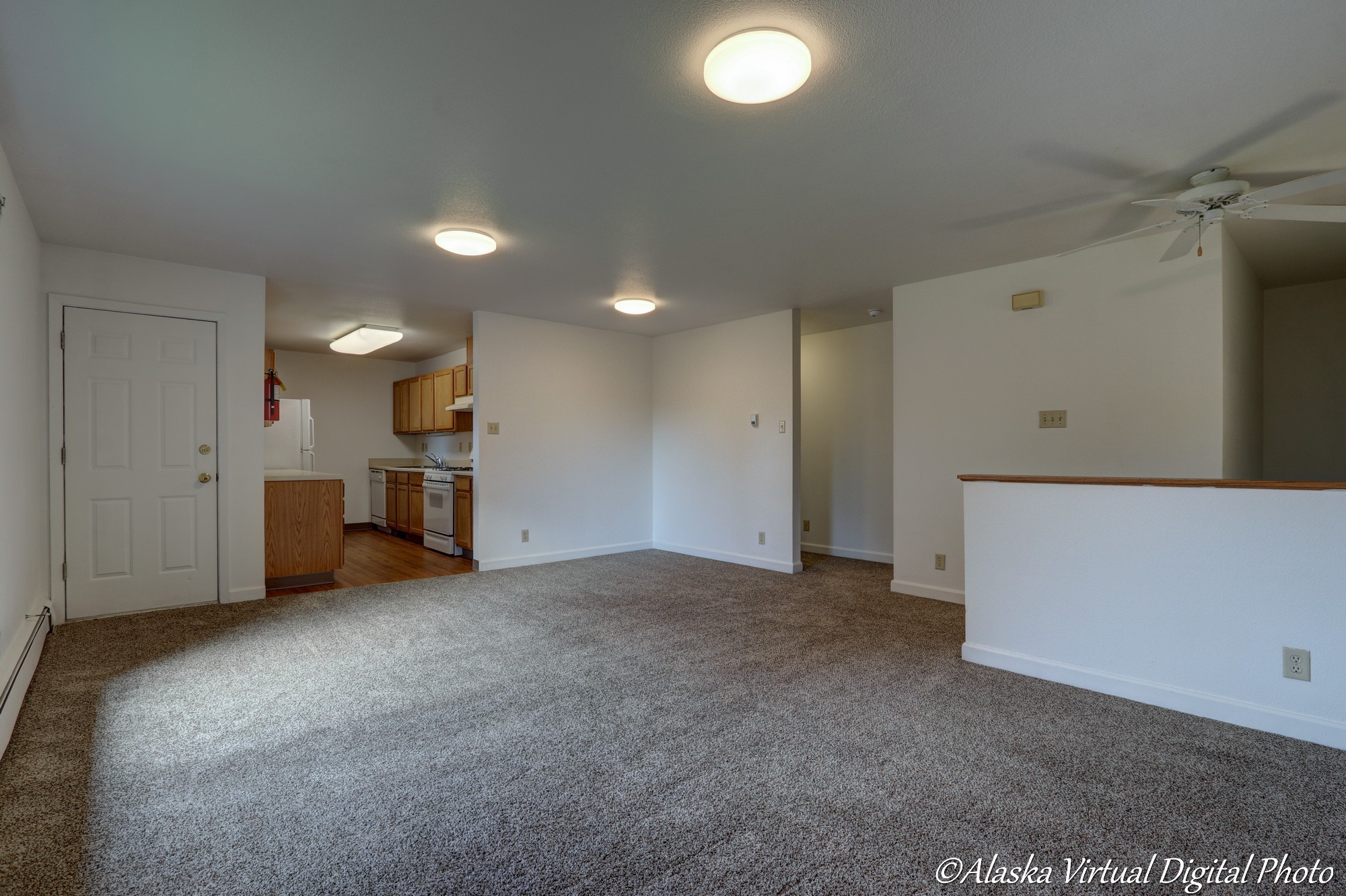 image of living room and kitchen.