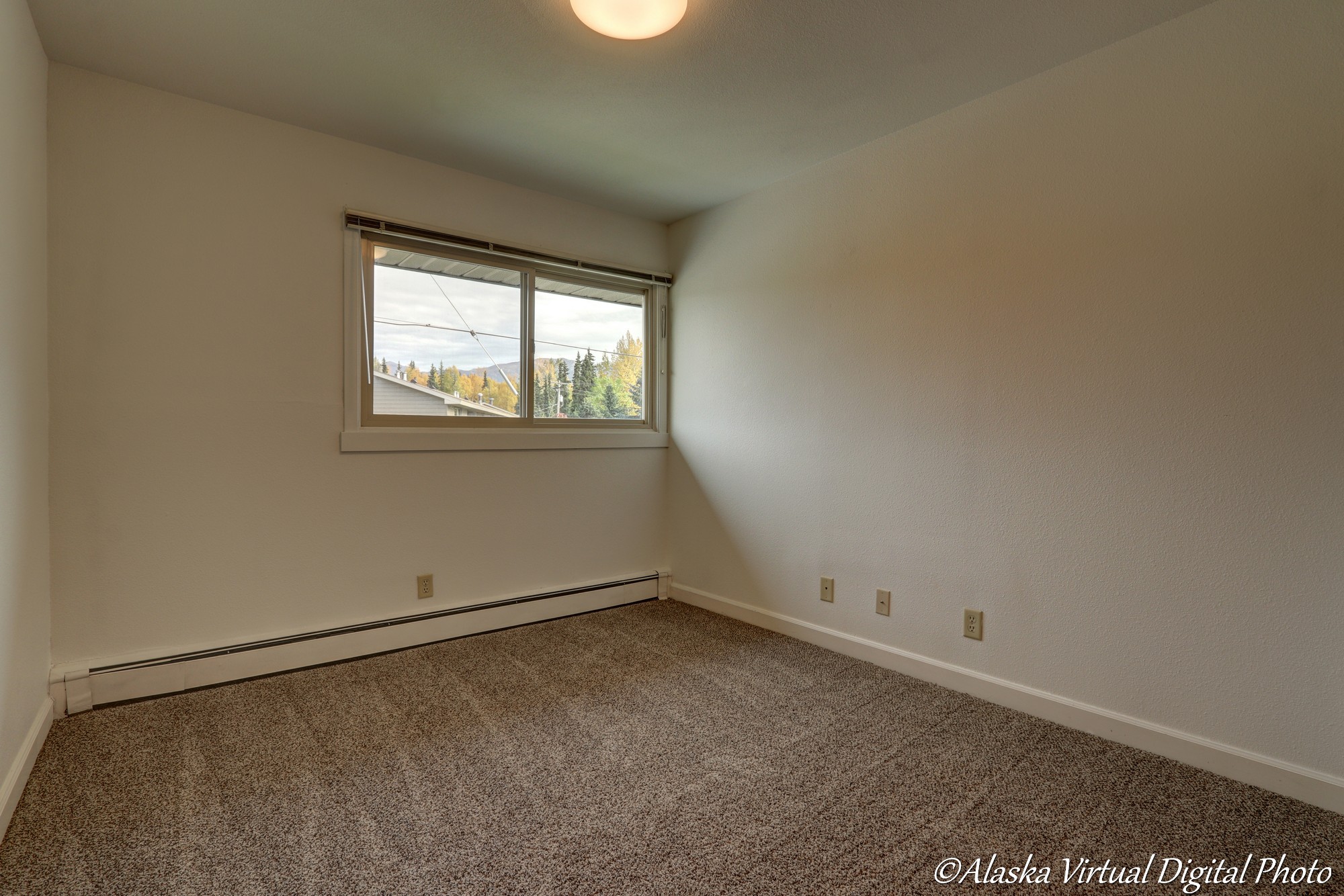 Image of bedroom with single window. mountains and trees in the background.