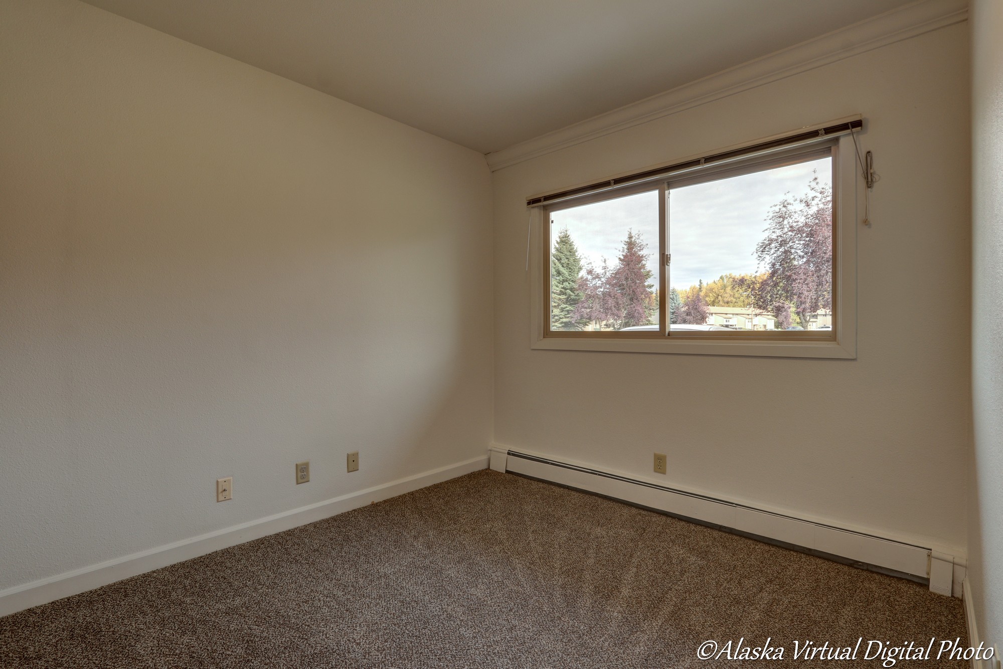 image of large window in carpeted bedroom