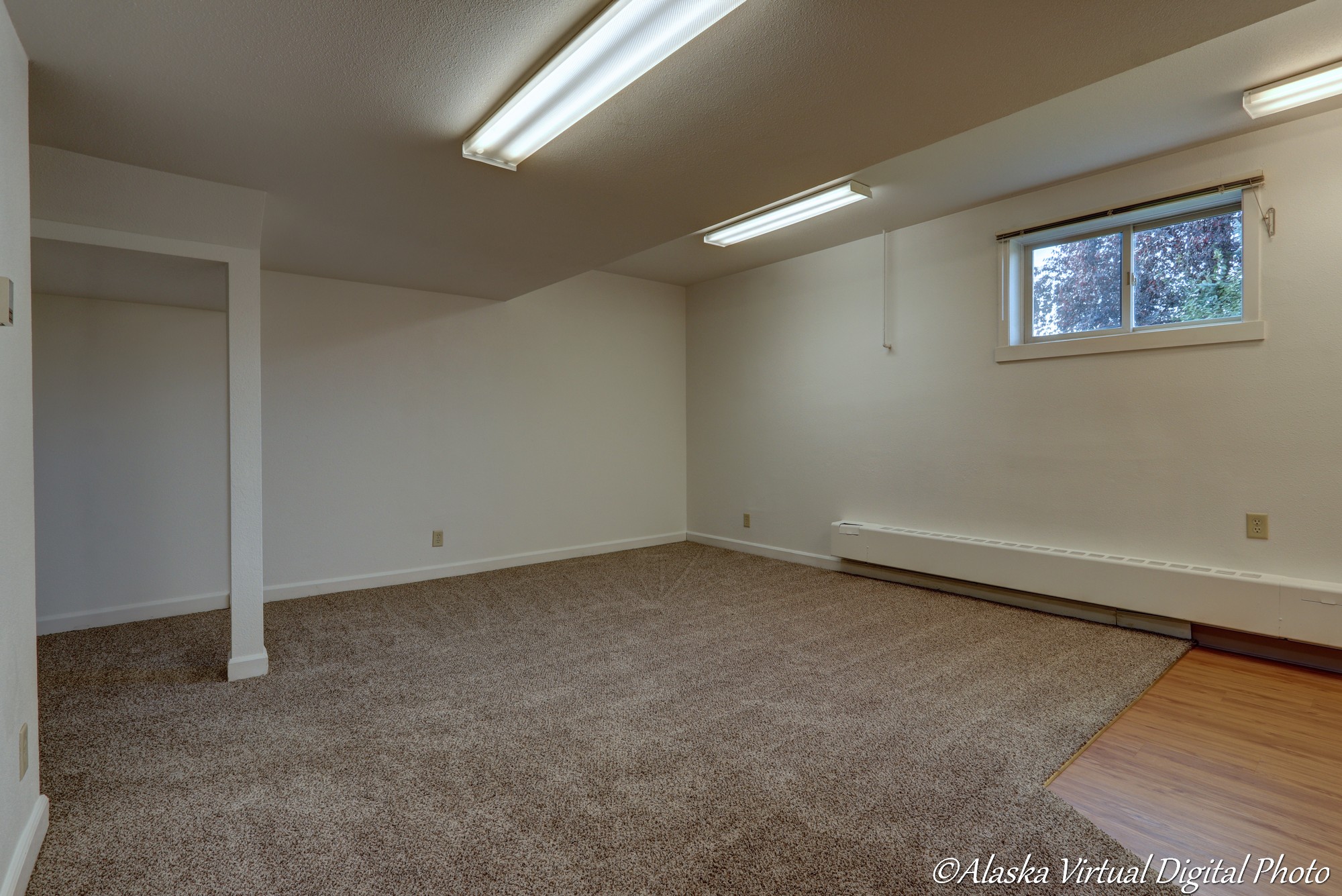 Image of large basement area with fluorescent lighting and carpeted floor