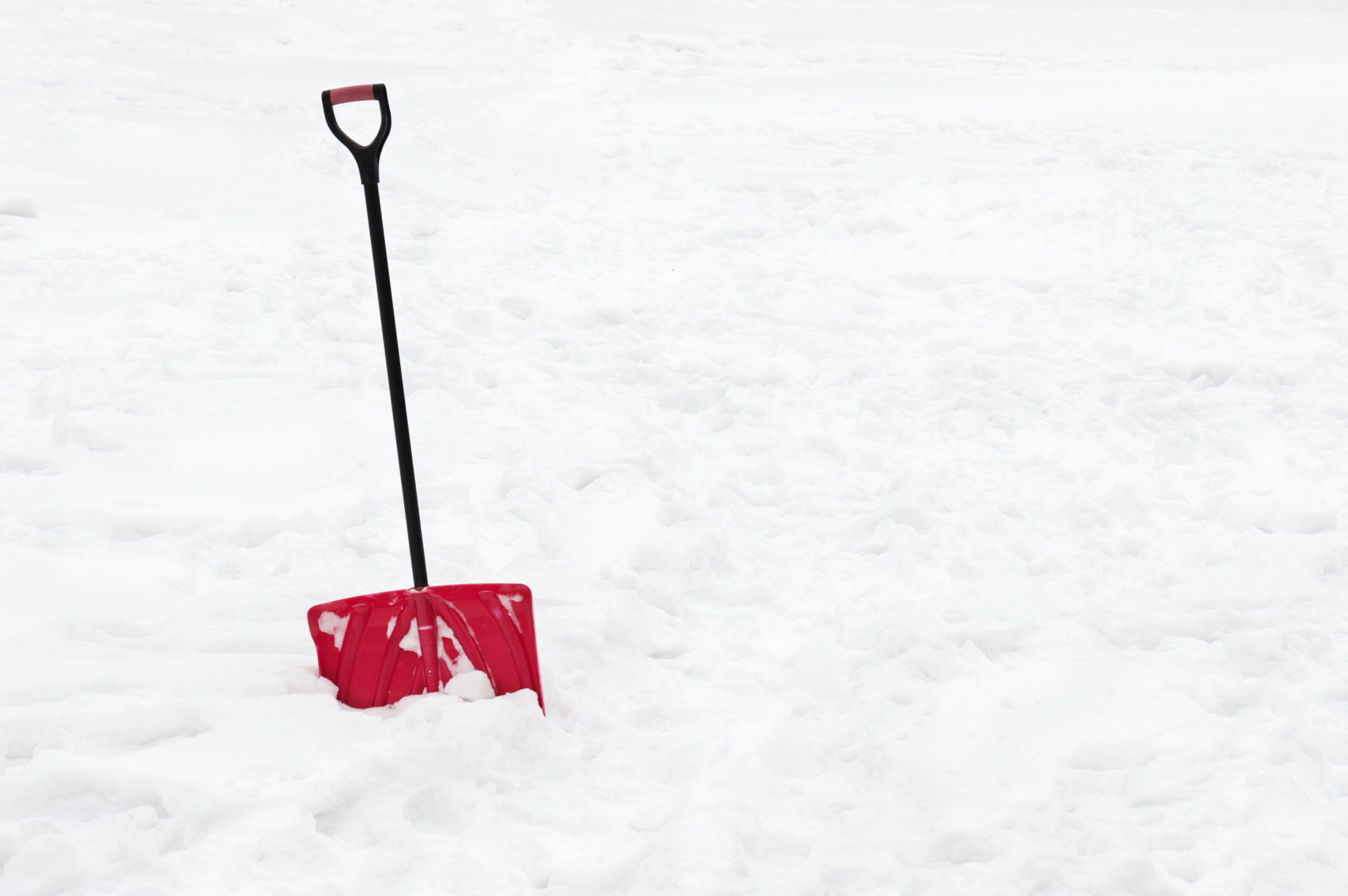 A red snow shovel standing in snow.