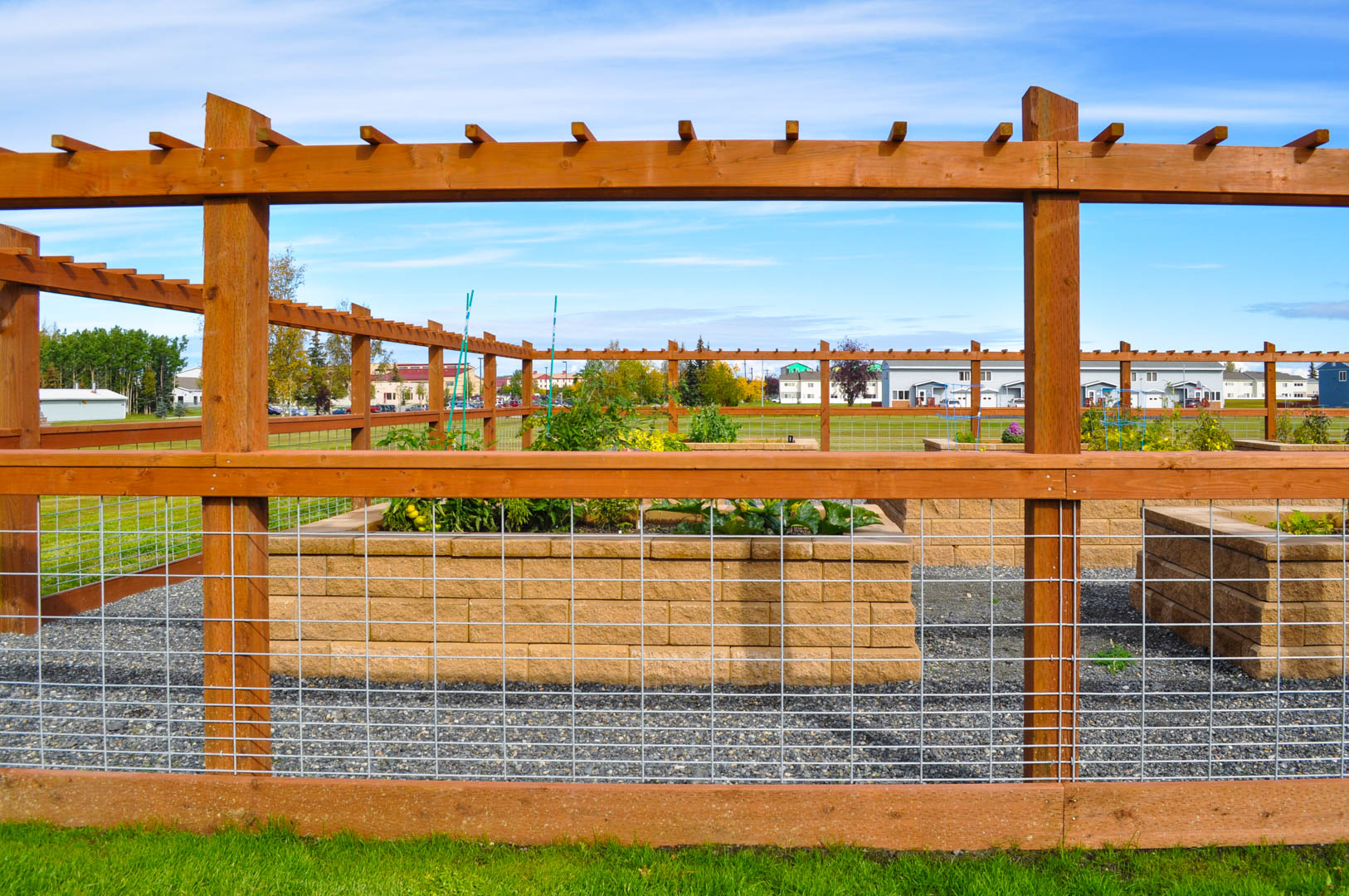 Photo of a community garden plot
