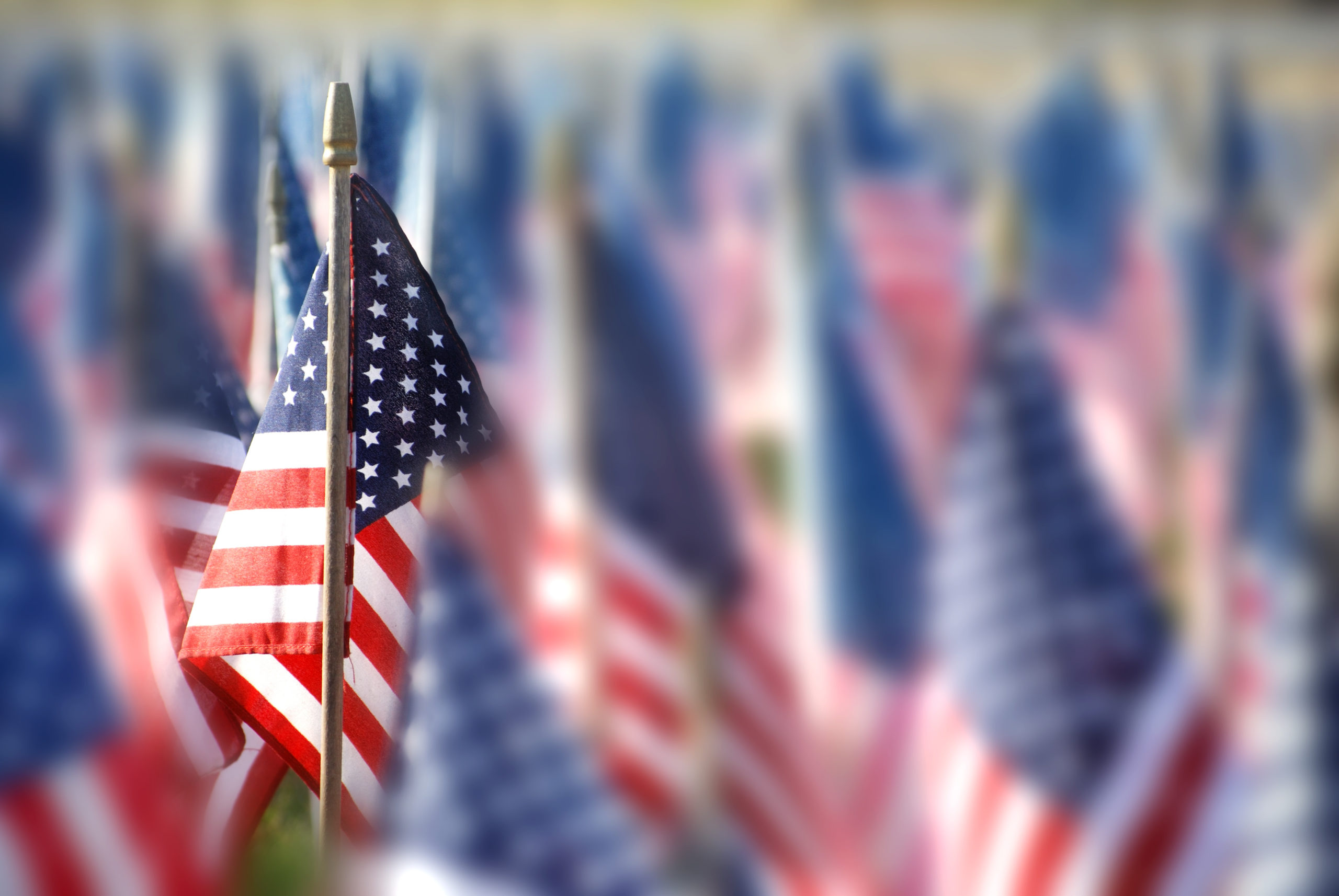 Multiple small america flags, many blurred, with one in focus