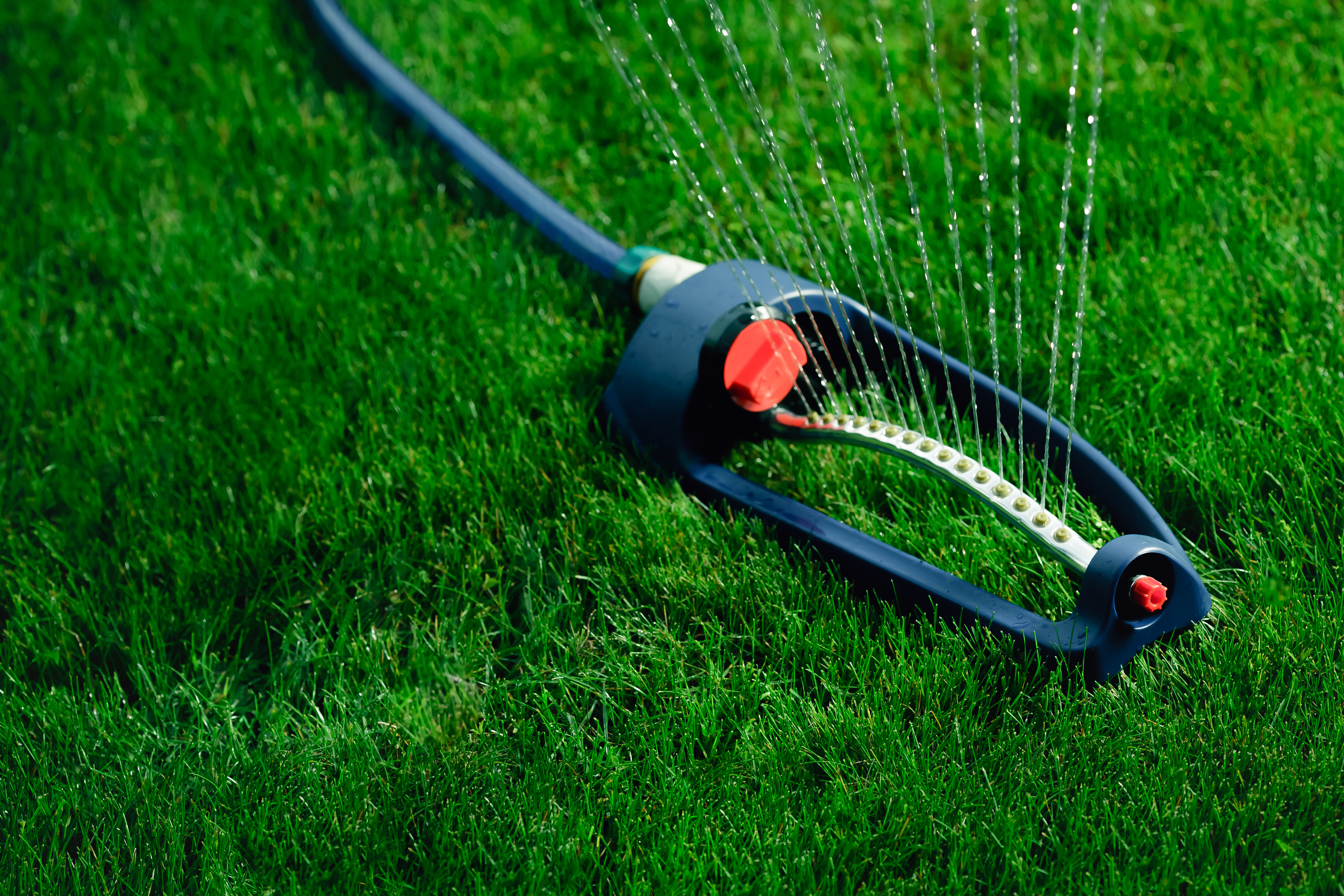 sprinkler on green grass