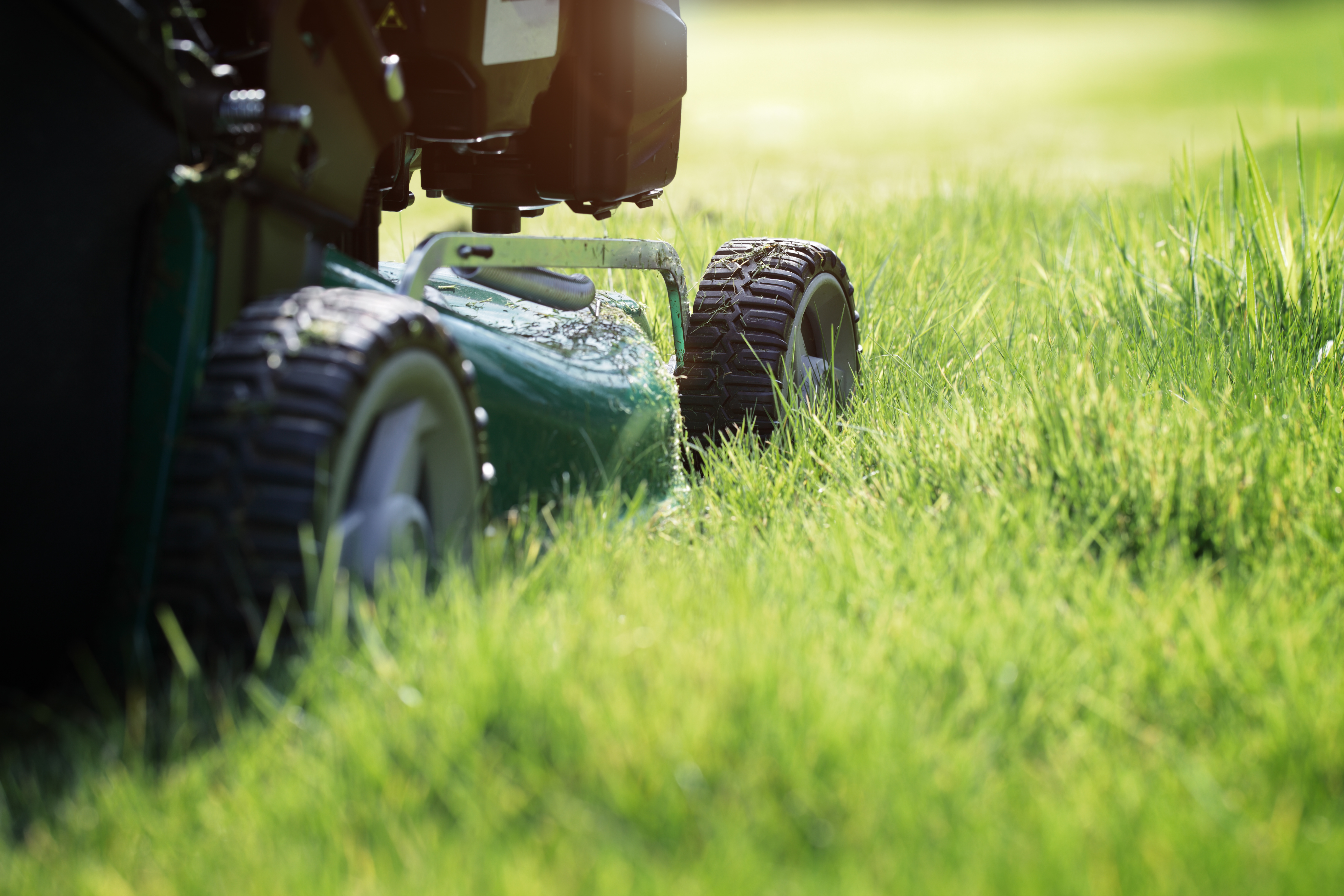 lawn mover cutting through grass