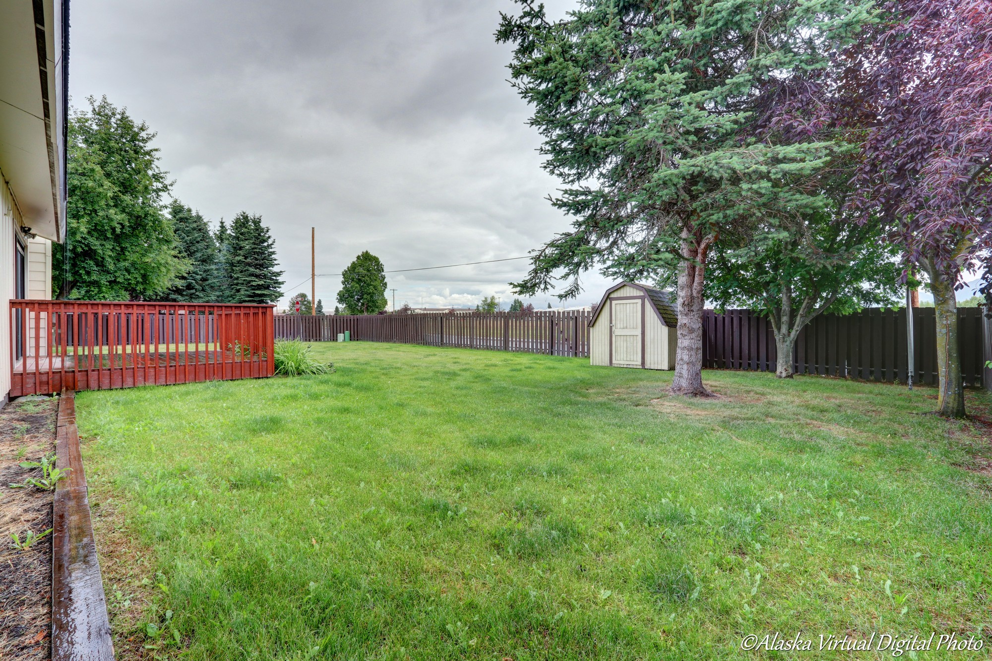 Photo of large back yard