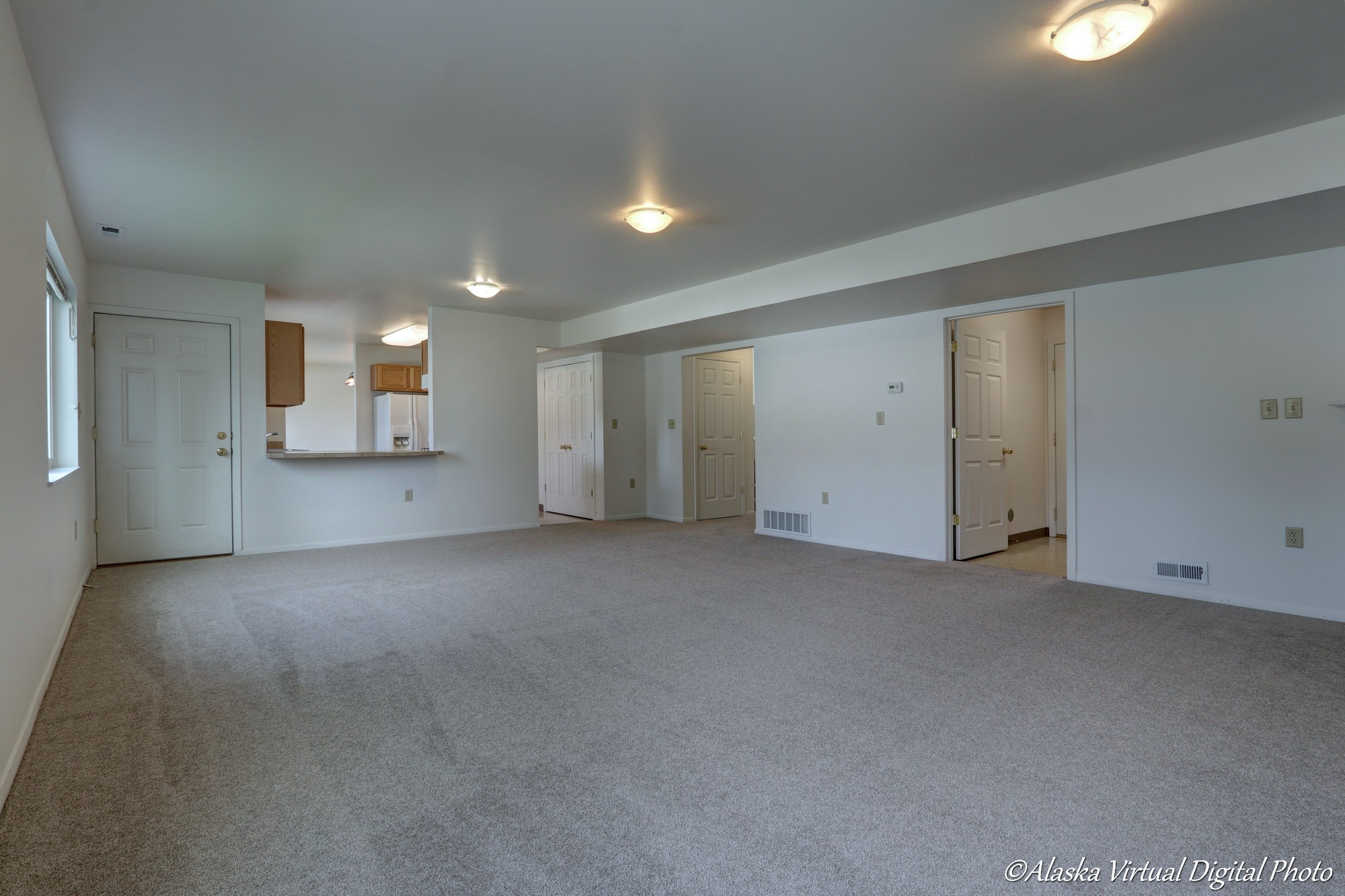 Large Living room with bar area that leads into kitchen