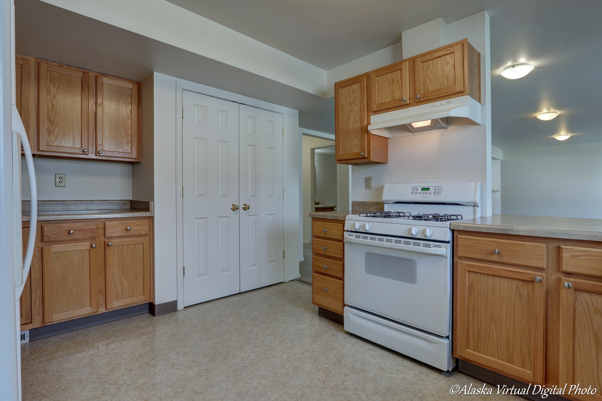 Kitchen with Large pantry