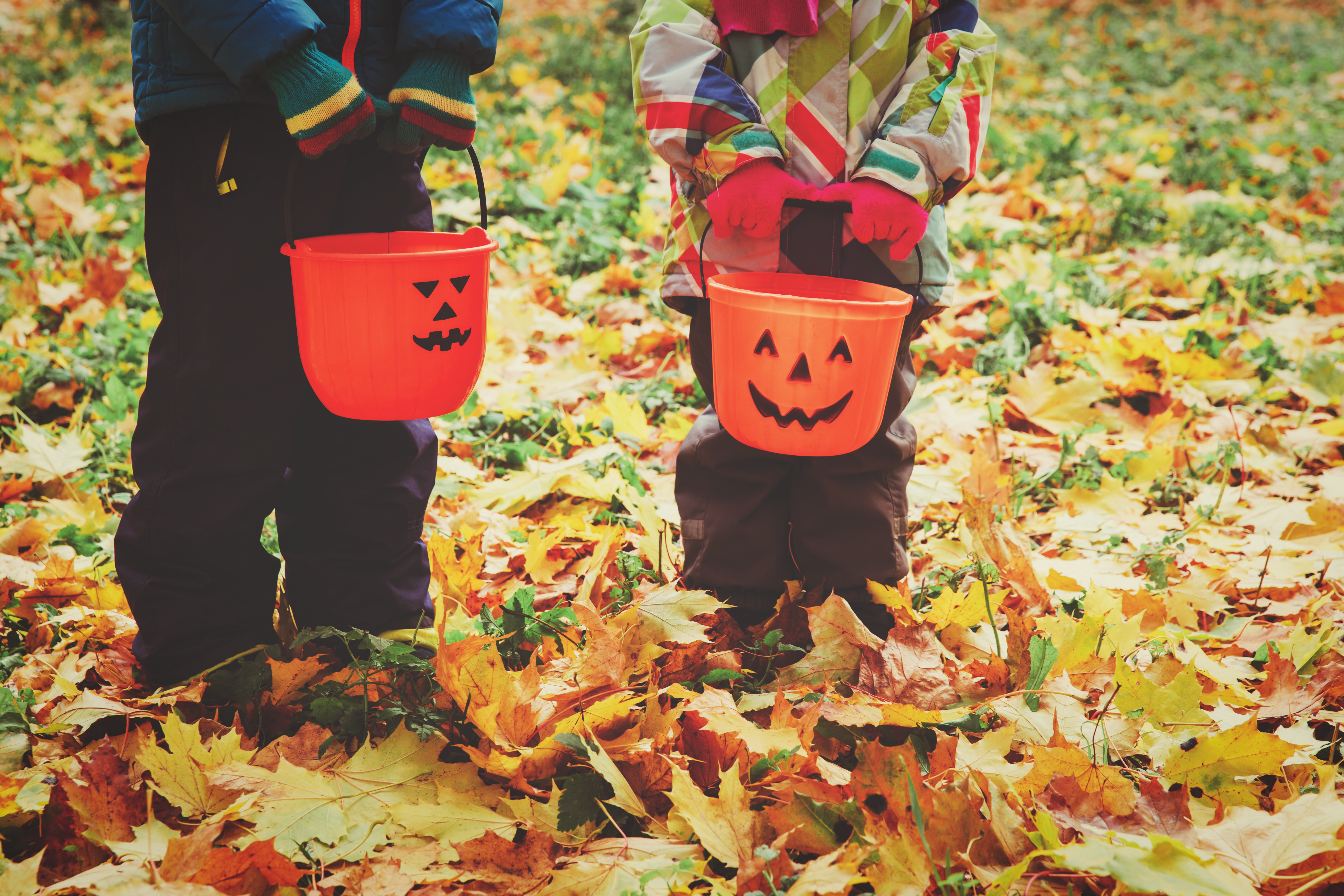 Image of boy and girl standing amidst leaves, holding pumpkin shaped candy buckets.