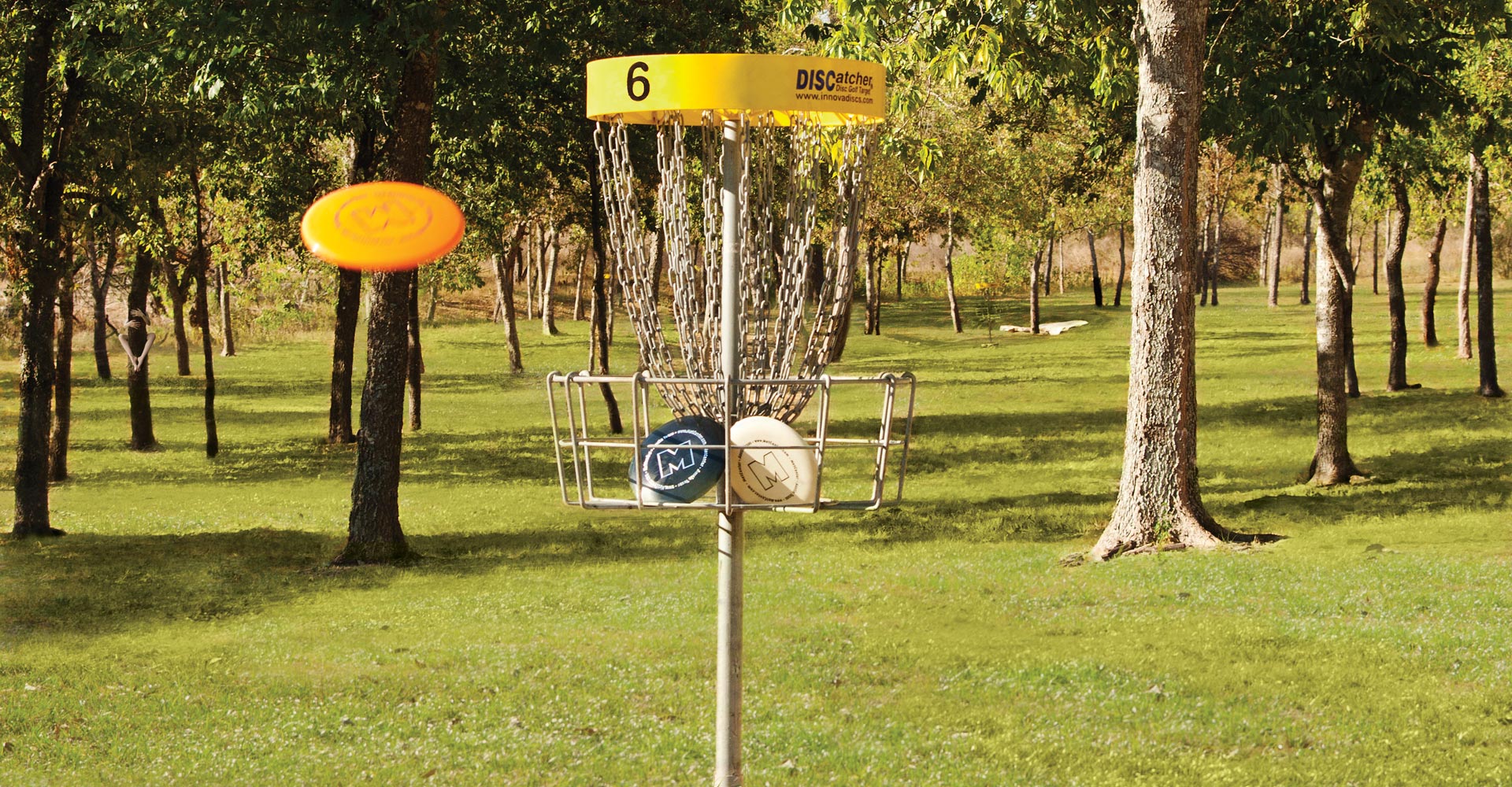 Sunflower Neighborhood Disc Golf