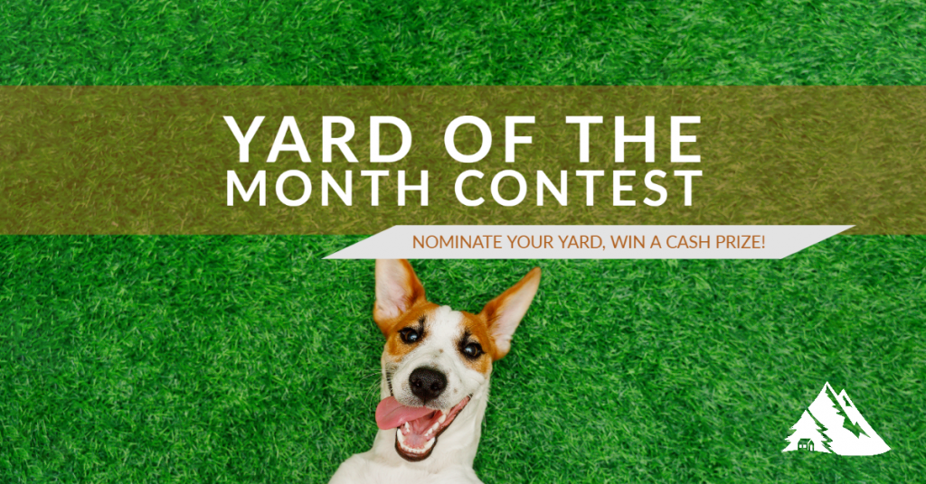 Yard of the month graphic