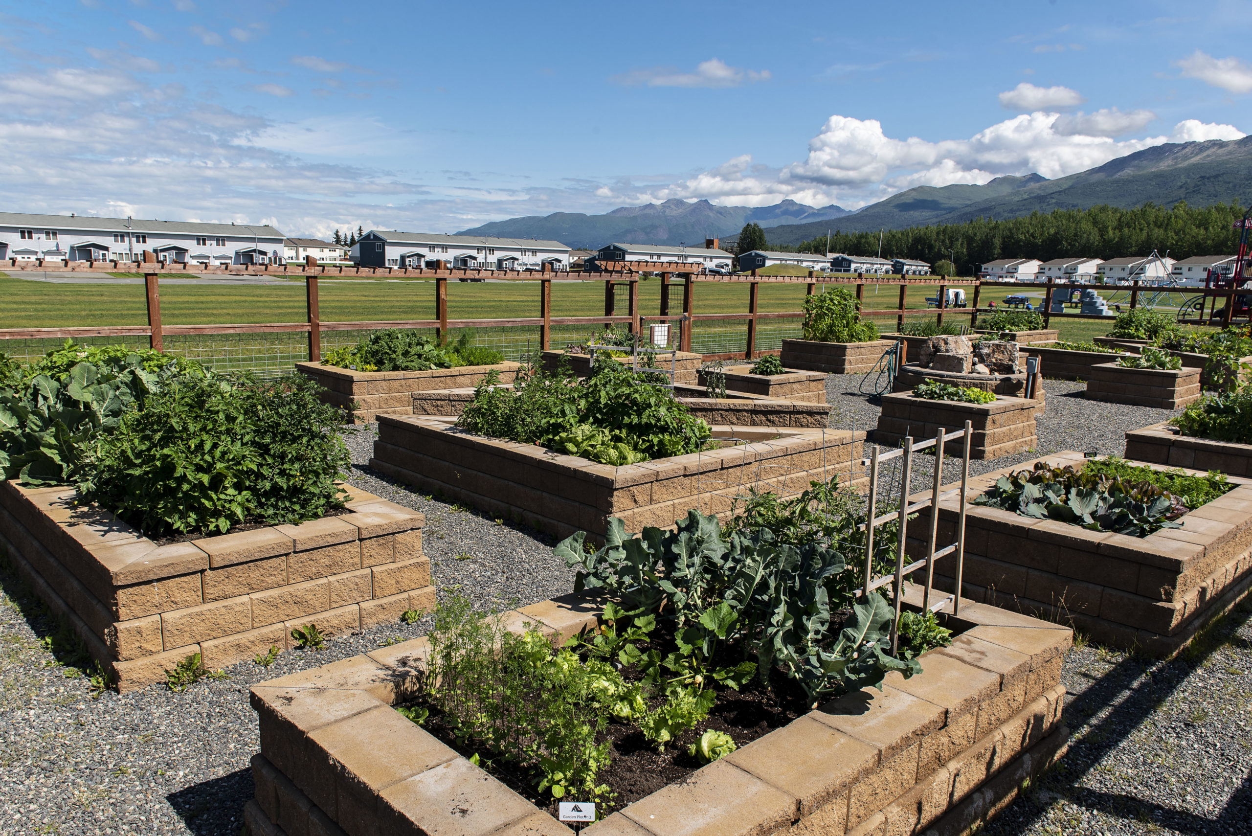 multiple community garden beds with homes, mountains, and recreational areas in the background