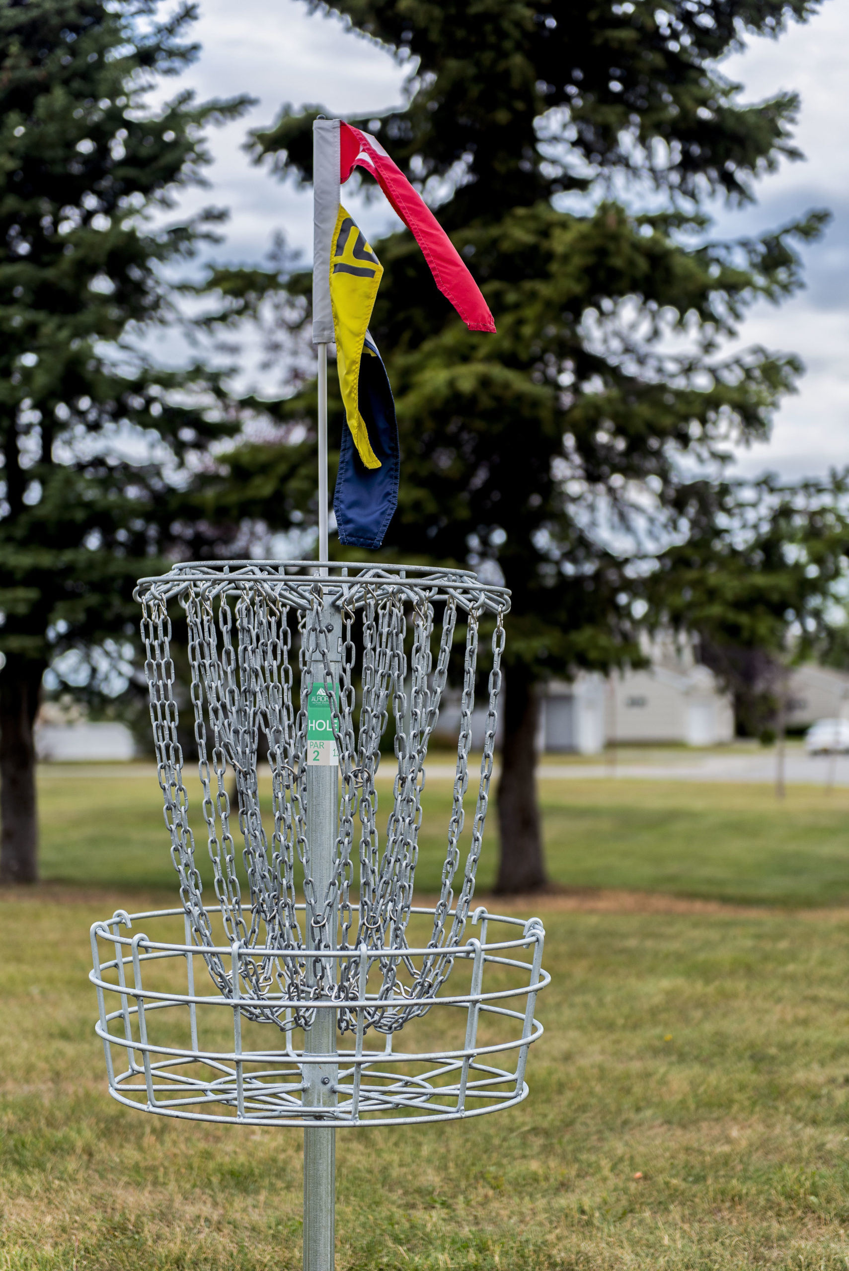 Disc Golf goal