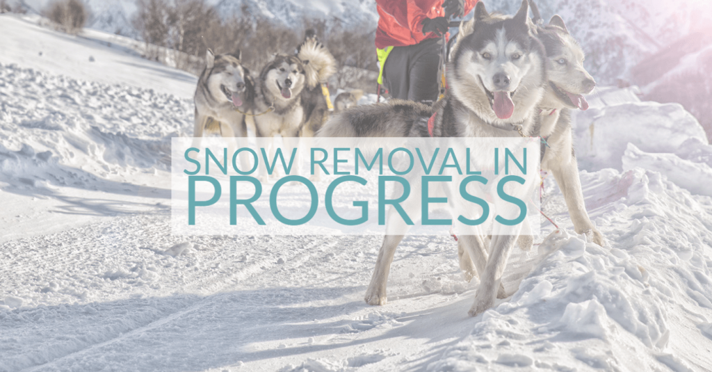 snow removal in progress overlaid on image of Iditarod dogs