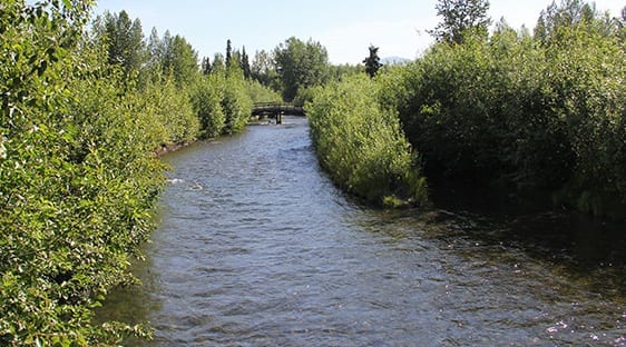 View of scenic creek