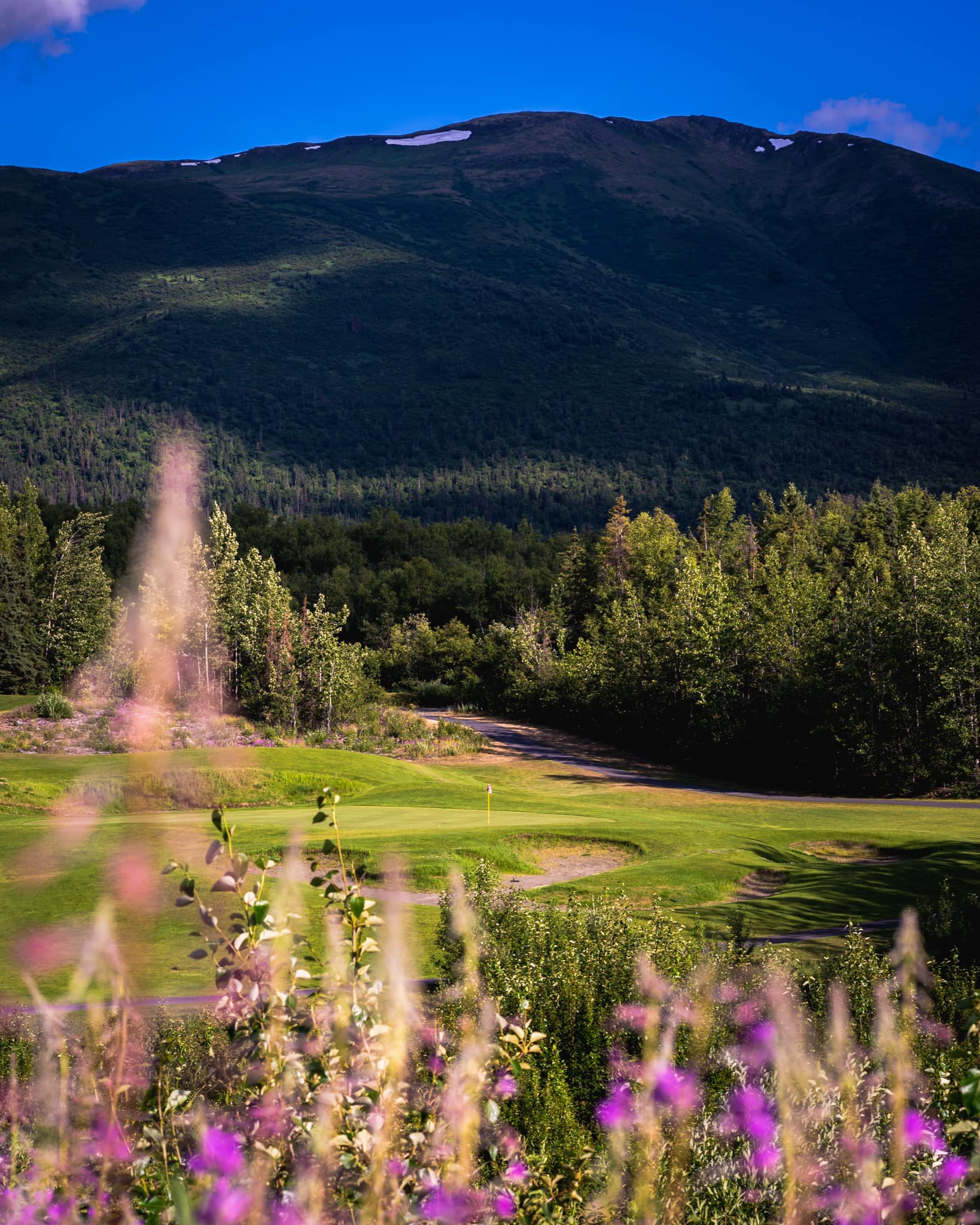 scenic view of moose run golf course