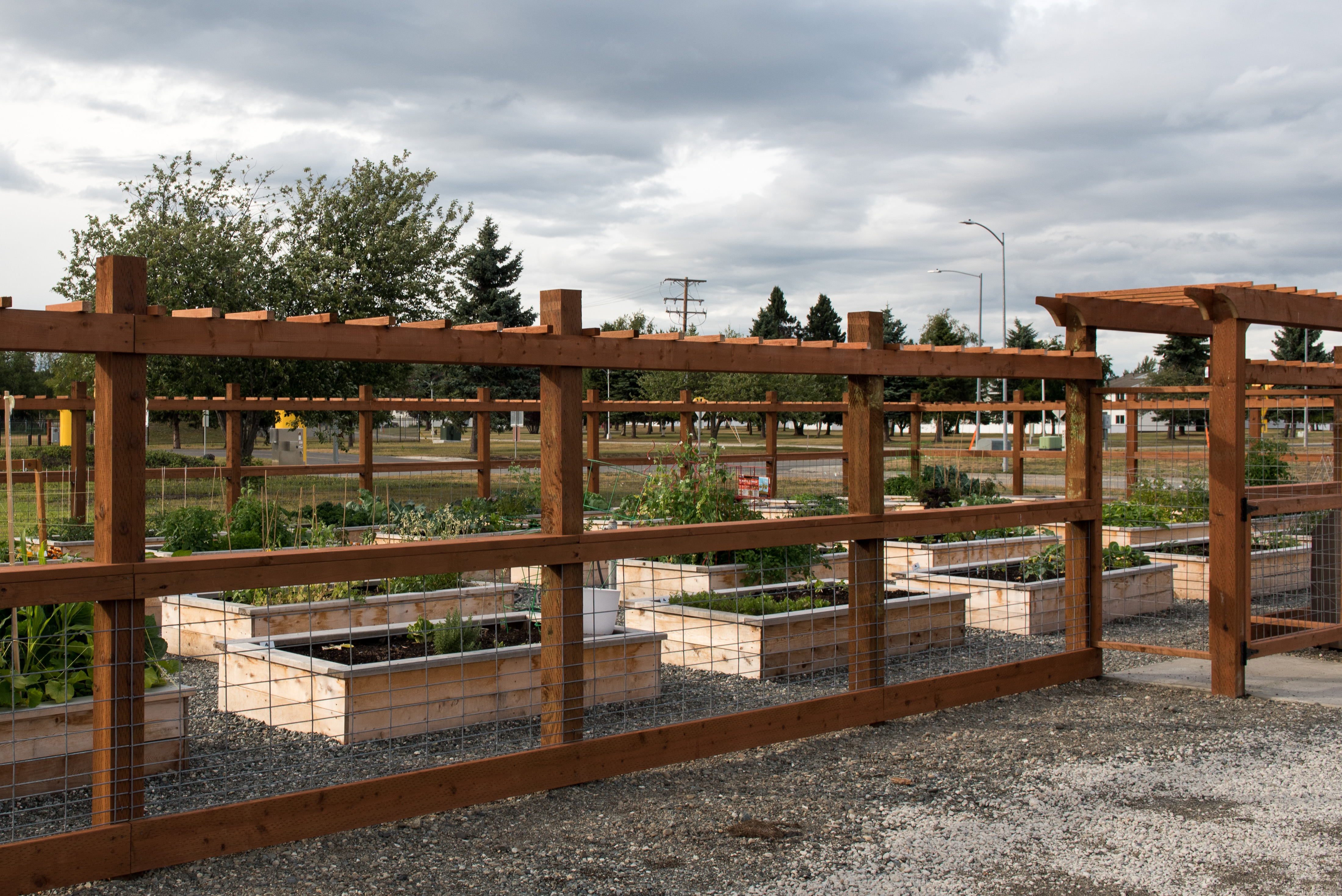 Houston Community Garden