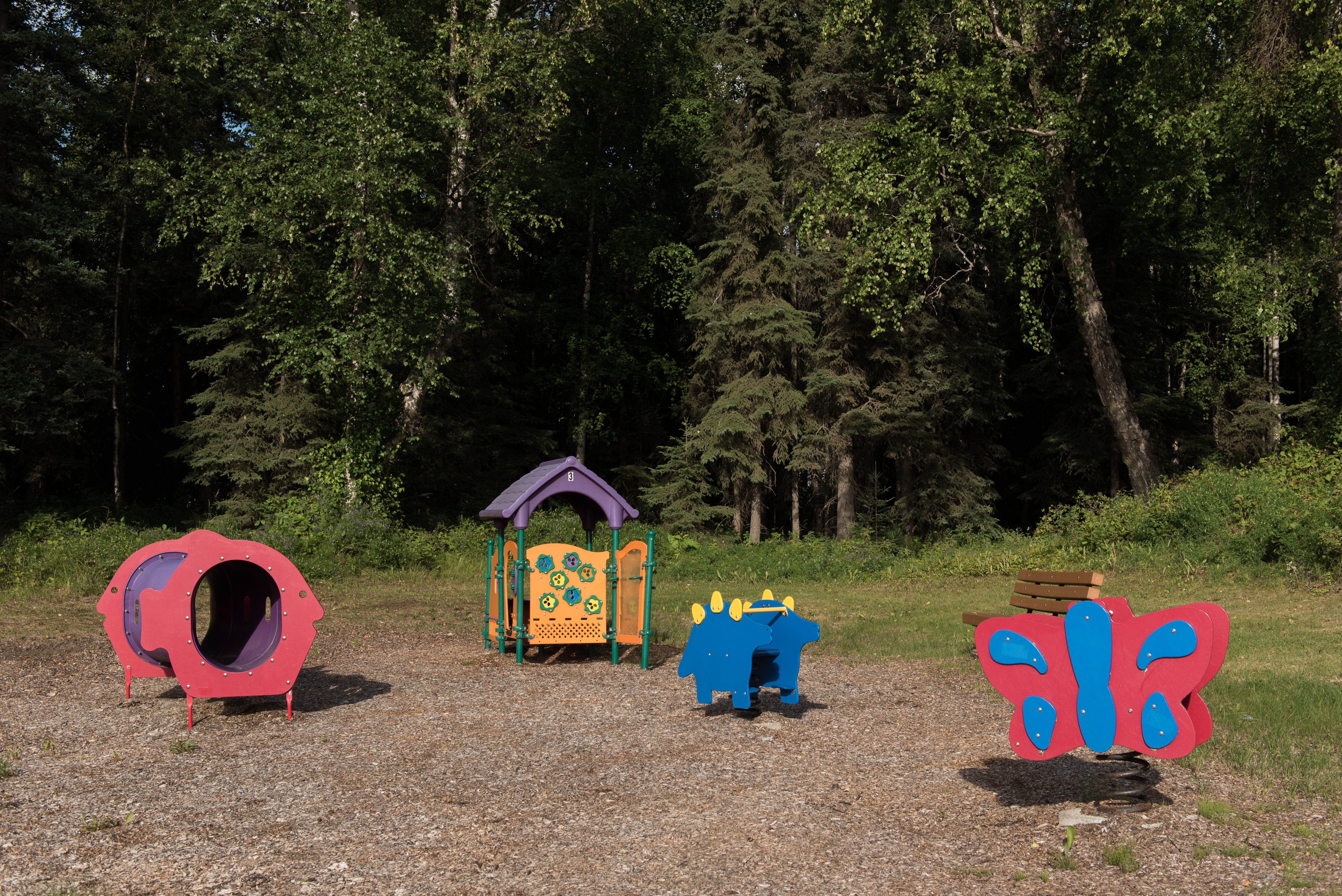 Moose Crossing Playground 3