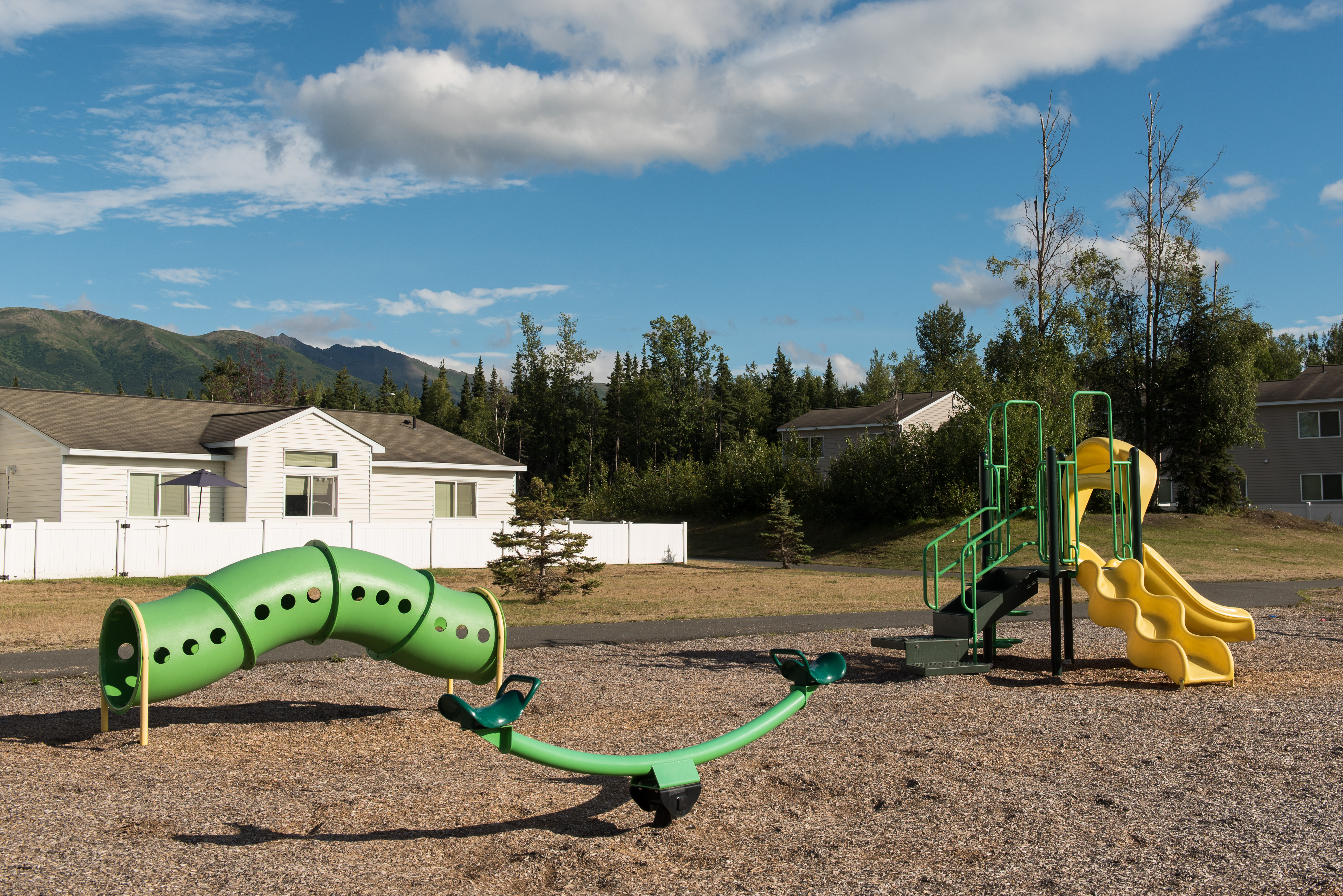 Moose Crossing Playground 5