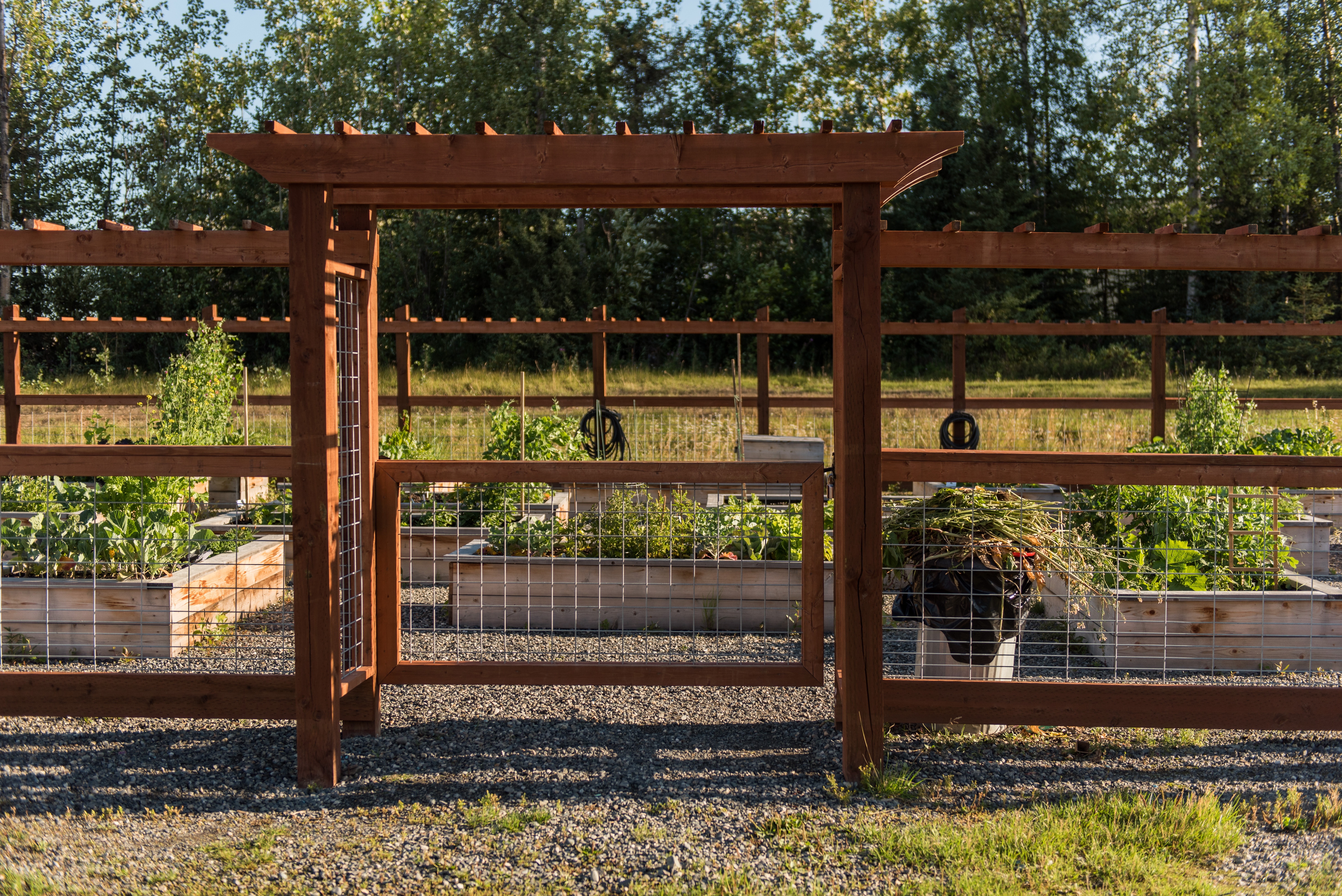 Silver Run Community Garden