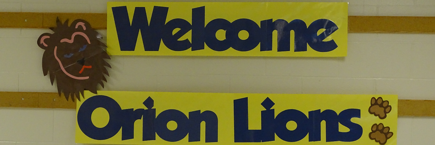 orion lions spirit banner