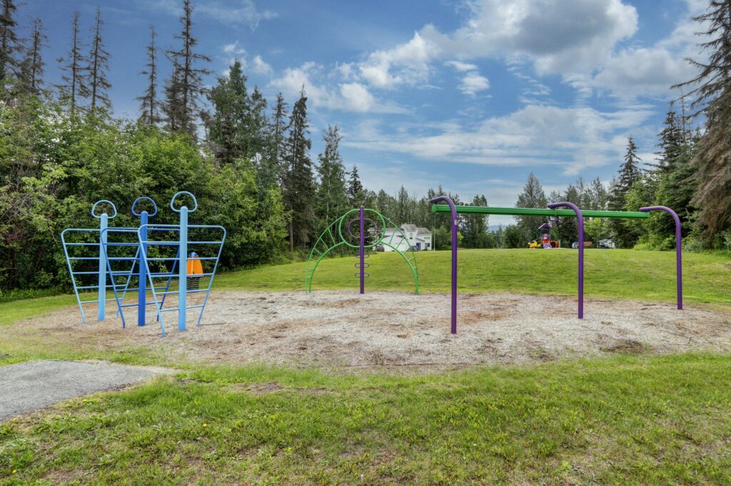 Moose Crossing Playground 16