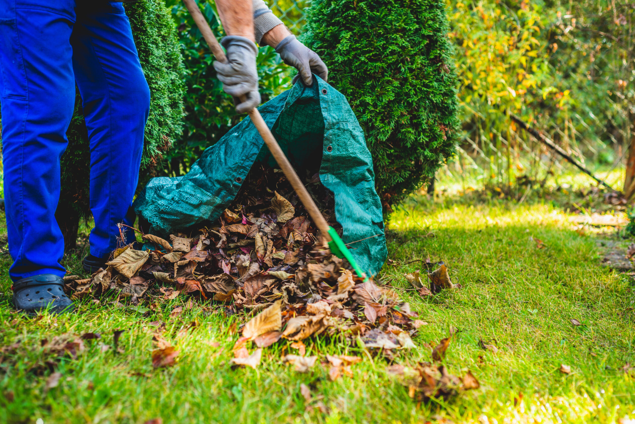 One Time Spring Clean Service (2026) | Aurora Military Housing